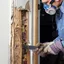 Termite control technician inspecting damaged wood and treating a wall for termites in {city}, {state}